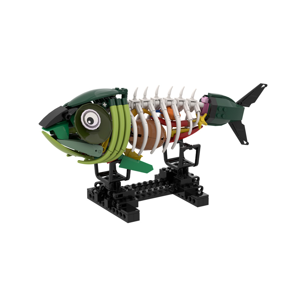 مكعبات بناء نموذج سمكة الزومبي - مراجعة Kids Zombie Toys وسعره